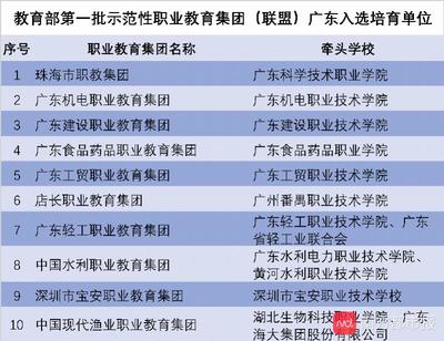 廣東省第二批示范性職業(yè)教育集團正在公示,這5家入選了